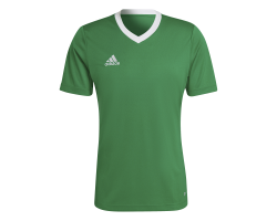 ADIDAS ENT22 JSY - TEAGRN/WHITE