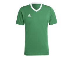 ADIDAS ENT22 JSY - TEAGRN/WHITE