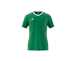 ADIDAS ENT22 JSY - TEAGRN/WHITE