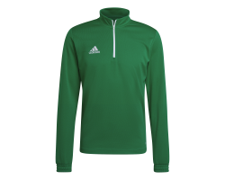 ADIDAS FELPA TR ENT22 - GREEN/WHITE