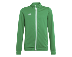 ADIDAS GIACCA ENT22 JR. - GREEN/WHITE
