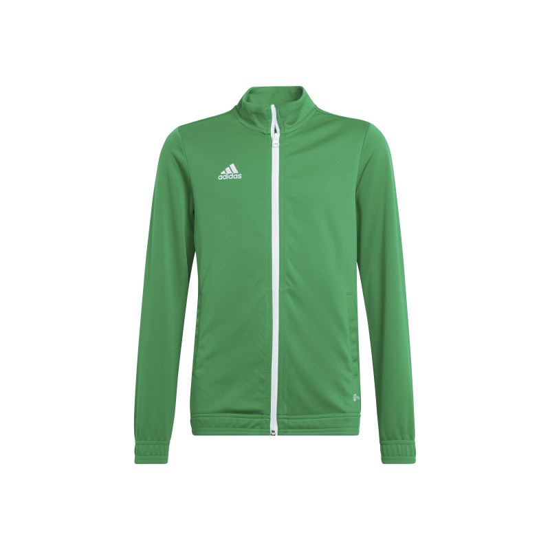 ADIDAS GIACCA ENT22 JR. - GREEN/WHITE
