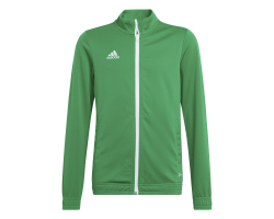 ADIDAS GIACCA ENT22 JR. - GREEN/WHITE