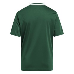 ADIDAS CAMPEON25 JERSEY JR. - TEAM DARK GREEN/WHITE