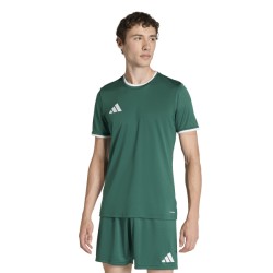 ADIDAS ENTRADA26 JERSEY - DRKGRN/WHITE