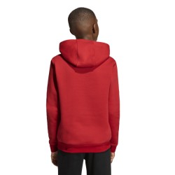 ADIDAS ENTRADA26 HOODIE JR. - TEPORE/WHITE