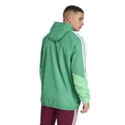 ADIDAS TIRO26C AW JKT - TEAGRN/SESCGR