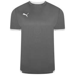 PUMA MAGLIA TEAMLIGA - SMOKED PEARL