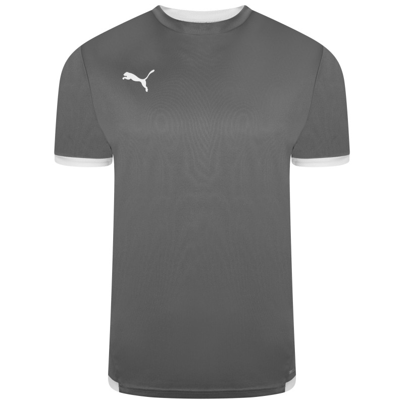 PUMA MAGLIA TEAMLIGA - SMOKED PEARL