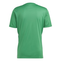 ADIDAS MAGLIA TABELA 23 - GREEN/WHITE