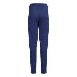 ADIDAS TIRO24 TR PANT W - TENABL/WHITE