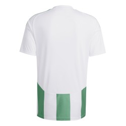 ADIDAS STRIPED 24 JSY - WHITE/TEAGRN