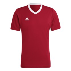 ADIDAS MAGLIA ENT22 - POWER RED