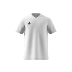 ADIDAS MAGLIA ENT22 - WHITE