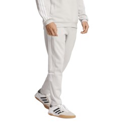 ADIDAS SQ25 SW PNT - TMLGGR/WHITE