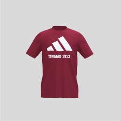 TERAMO CALCIO 1913 2025...