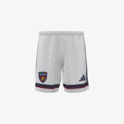 COSENZA CALCIO 2025...