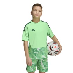 ADIDAS TIRO26 COMPETITION GK. JERSEY SHORT SLEEVE - LIMBUR