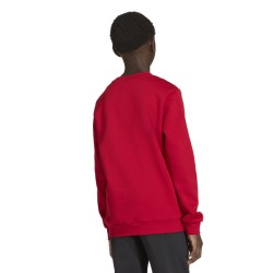 ADIDAS ENTRADA26 SWEAT TOP JR. - TEPORE/WHITE