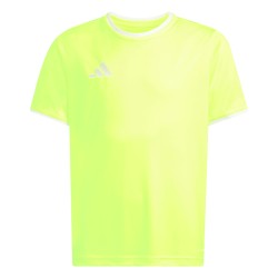 ADIDAS ENTRADA26 JERSEY JR. - TESOYE/WHITE