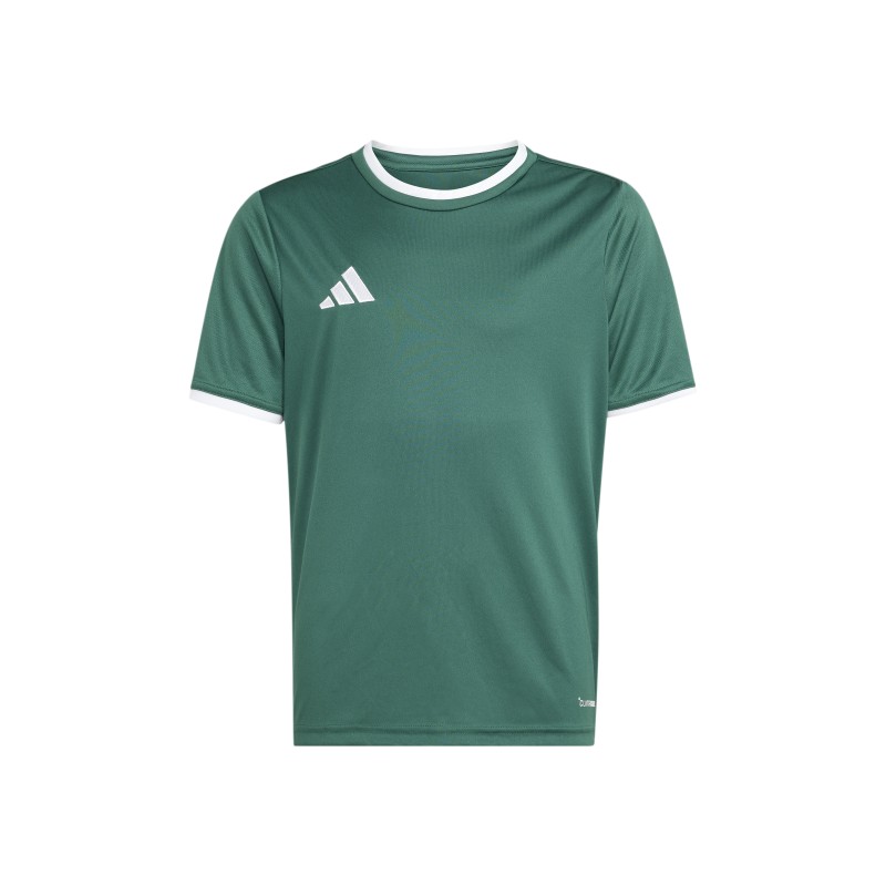ADIDAS ENTRADA26 JERSEY JR. - DRKGRN/WHITE