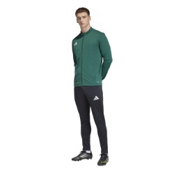 ADIDAS ENTRADA26 TRACK JACKET - DRKGRN/WHITE