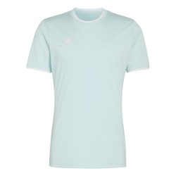 ADIDAS ENTRADA26 JERSEY - HALMIN/WHITE