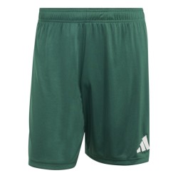 ADIDAS ENTRADA26 SHORTS - DRKGRN/WHITE