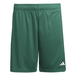 ADIDAS ENTRADA26 SHORTS - DRKGRN/WHITE