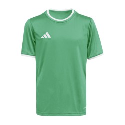 ADIDAS ENTRADA26 JERSEY JR. - TEAGRN/WHITE