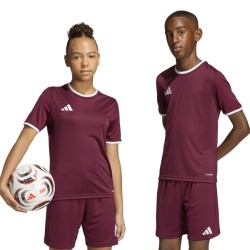 ADIDAS ENTRADA26 JERSEY JR. - TEAMAR/WHITE