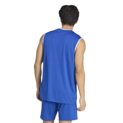 ADIDAS ENTRADA26 SS JERSEY - ROYBLU/WHITE