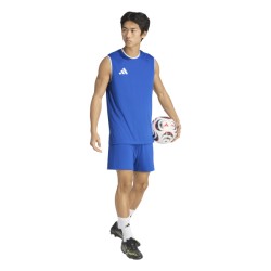 ADIDAS ENTRADA26 SS JERSEY - ROYBLU/WHITE
