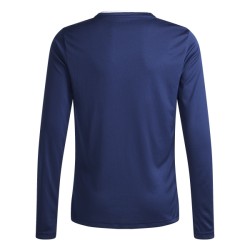 ADIDAS ENTRADA26 LONG SLEEVE JERSEY JR. - TENABL/WHITE