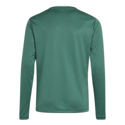 ADIDAS ENTRADA26 LONG SLEEVE JERSEY JR. - DRKGRN/WHITE