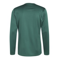 ADIDAS ENTRADA26 LONG SLEEVE JERSEY - DRKGRN/WHITE