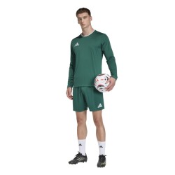 ADIDAS ENTRADA26 LONG SLEEVE JERSEY - DRKGRN/WHITE