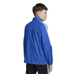 ADIDAS TIRO26 LEAGUE WB JR. - ROYBLU/WHITE