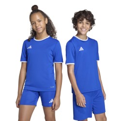 ADIDAS ENTRADA26 JERSEY JR. - ROYBLU/WHITE