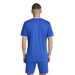 ADIDAS ENTRADA 26 JSY - ROYBLU/WHITE