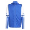 ADIDAS SQUADRA25 TRAINING JACKET JR. - TEAM ROYAL BLUE/WHITE
