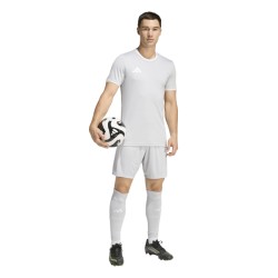 ADIDAS ENTRADA26 SHORTS - TMLGGR/WHITE
