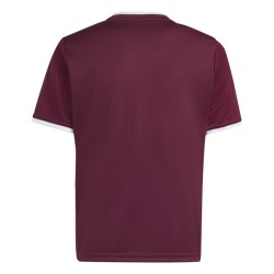 ADIDAS ENTRADA26 JERSEY JR. - TEAMAR/WHITE