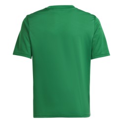ADIDAS MAGLIA TABELA 23 JR. - GREEN/WHITE