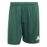 ADIDAS ENTRADA26 SHORTS - DRKGRN/WHITE