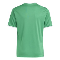 ADIDAS ENTRADA26 JERSEY JR. - TEAGRN/WHITE