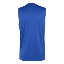 ADIDAS ENTRADA26 SS JERSEY - ROYBLU/WHITE