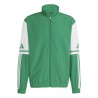 ADIDAS SQUADRA25 PRE. JACKET - TEAM GREEN/WHITE