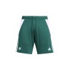 NUOVO CIRCOLO DEGLI SCACCHI PANTALONCINO VERDE