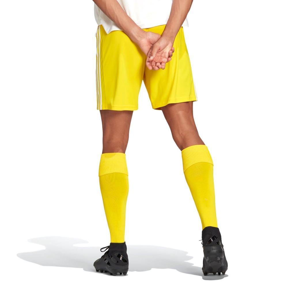adidas adidas  squadra 21 pantaloncino uomo  giallo